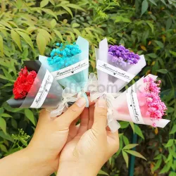 迷你滿天星乾花 HK$3.9