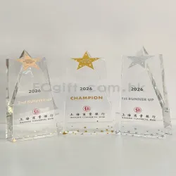 禮品編號：8171 創意水晶獎盃