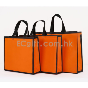 2007- 防水無紡布袋