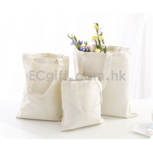 2009  -  環保帆布袋 