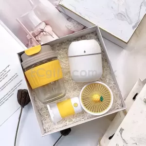 玻璃水樽+手持風扇+加濕器套裝