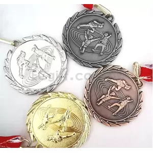 三項全能運動會比賽獎牌