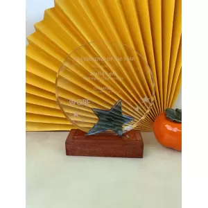 禮品編號：7796 圓形星星款水晶獎座