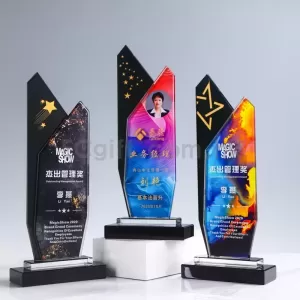 創意水晶獎盃