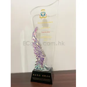 禮品編號：8262 彩色水晶獎杯