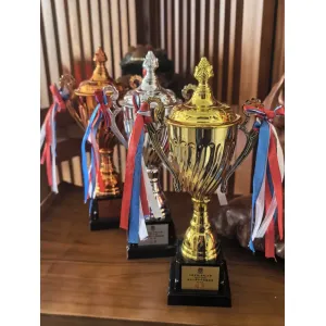 禮品編號：8238  28CM金銀銅金屬