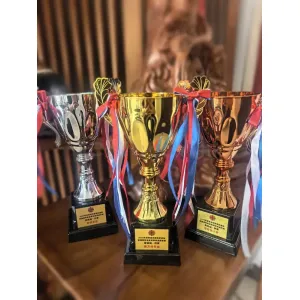 禮品編號：9845  24CM金銀銅金屬