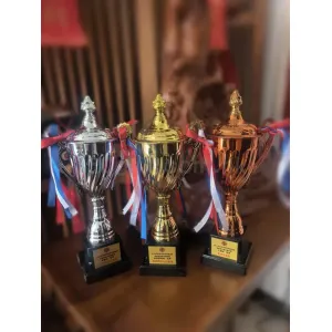 禮品編號：8238  28CM金銀銅金屬